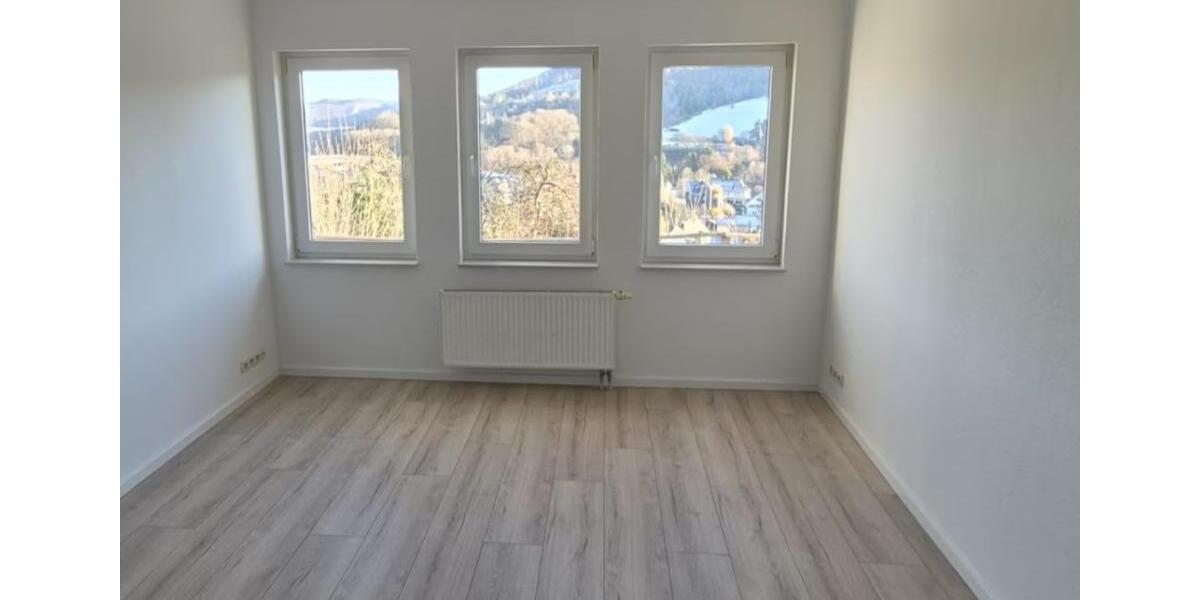 Terrassenwohnung Bad Laasphe - 2 Zimmer, 40 m&sup2;, 540&euro; | Angebot:25591811