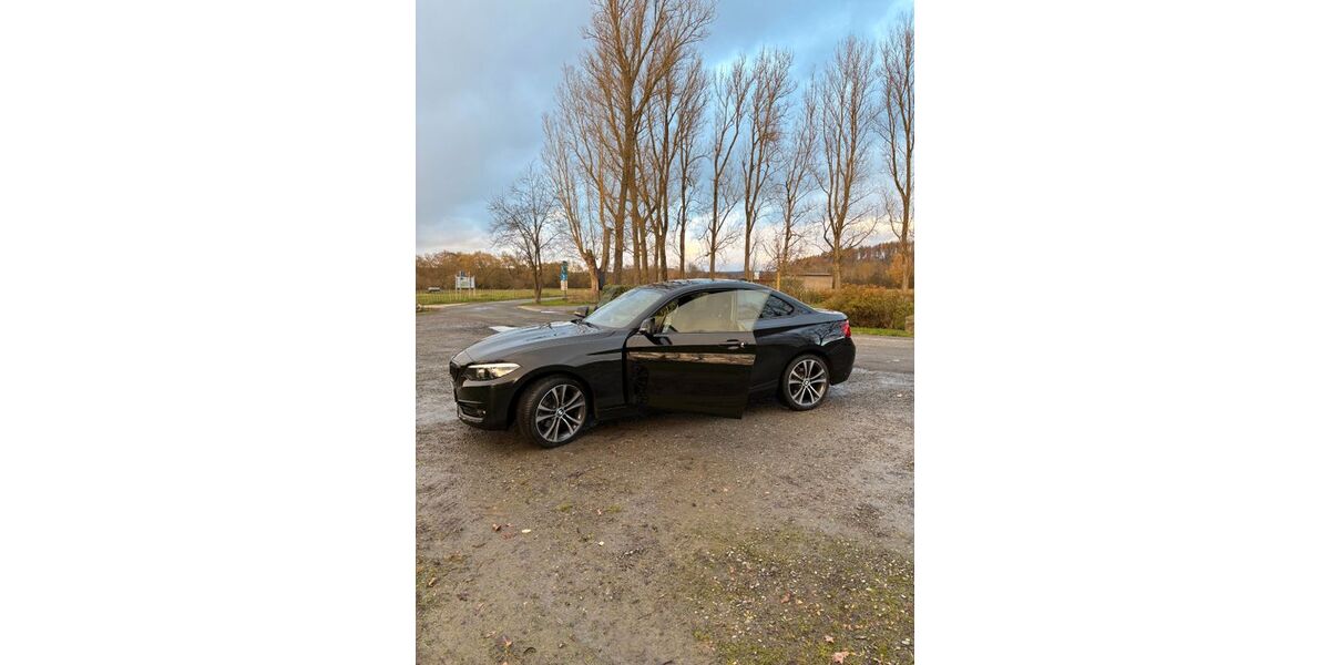BMW 220 54.200 km 25.900 &euro; Frankenberg 35066