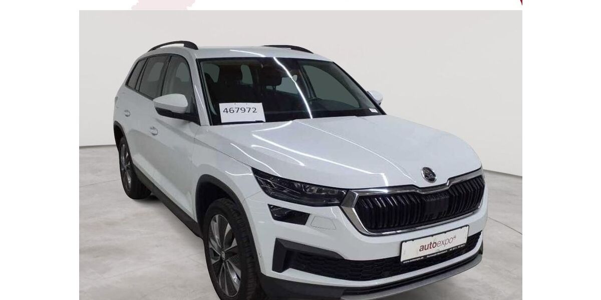 Skoda Kodiaq 177.054 km 22.590 &euro; Fernwald-Steinbach 35463