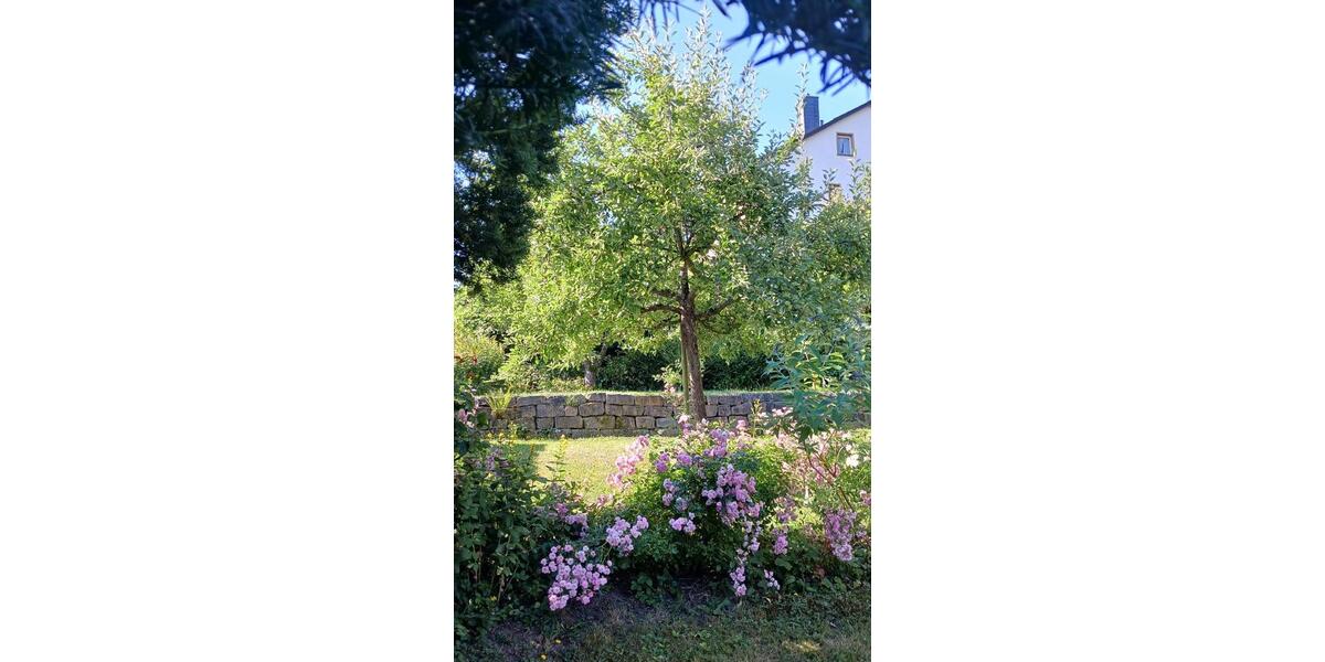 Einfamilienhaus Wettenberg - 5 Zimmer, 140 m&sup2;, 390.000&euro; | Angebot:25084788