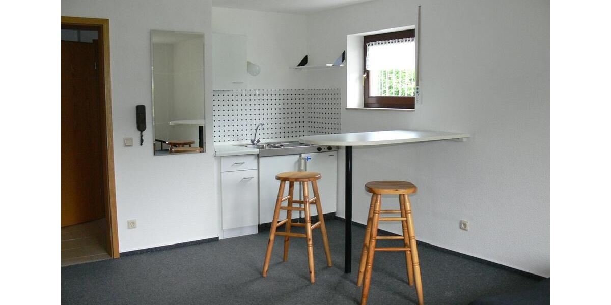 Etagenwohnung Gießen Wieseck - 1.5 Zimmer, 42 m&sup2;, 450&euro; | Angebot:26634044