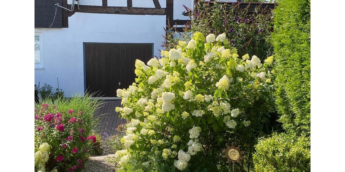 Einfamilienhaus Allendorf (Eder) - 6 Zimmer, 130 m&sup2;, 150.000&euro; | Angebot:25286123