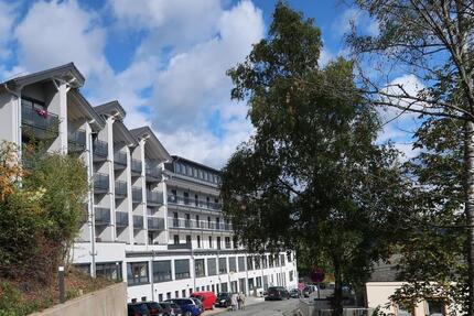 Wohnung Bad Laasphe - 1 Zimmer, 25 m&sup2;, 295&euro; | Angebot:24690097