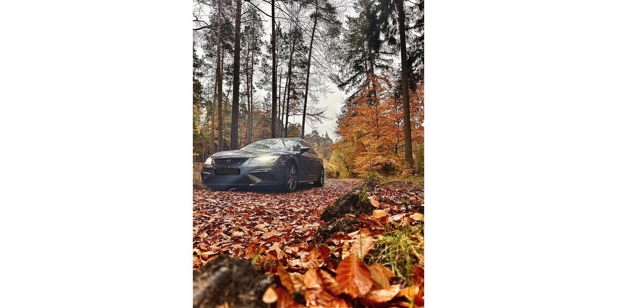 Seat Leon 125.000 km 29.000 &euro; Gladenbach 35075