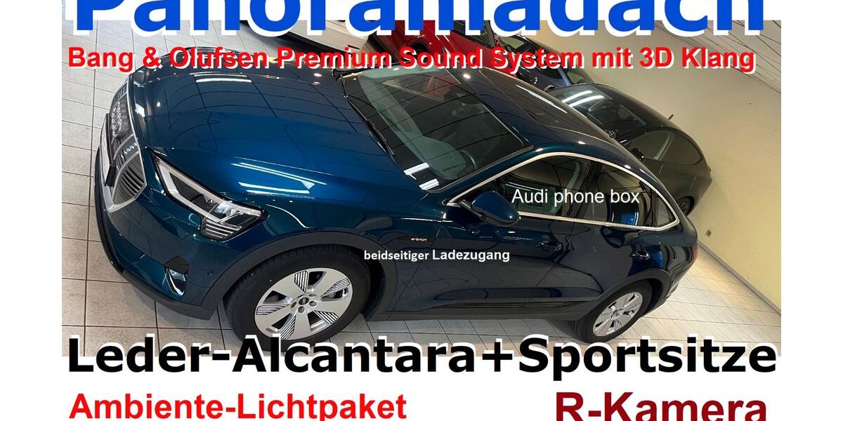 Audi e-tron 120.000 km 28.900 &euro; Grünberg 35305