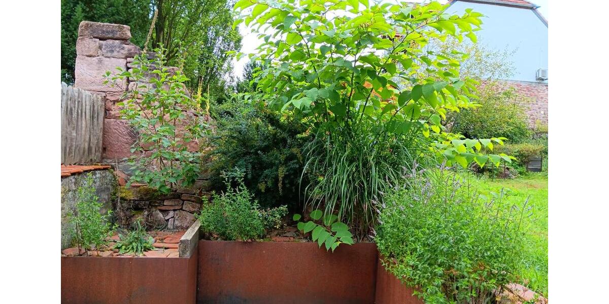 Einfamilienhaus Wohratal - 10 Zimmer, 220 m&sup2;, 75.000&euro; | Angebot:26019312