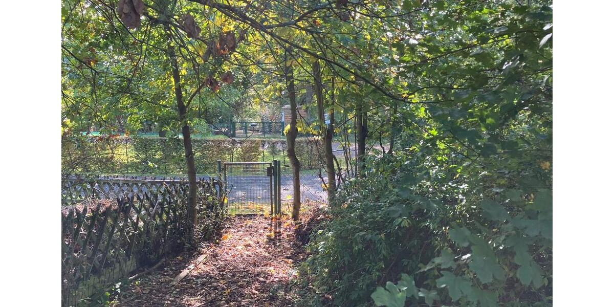 Einfamilienhaus Grünberg - 65.000&euro; | Angebot:23812536