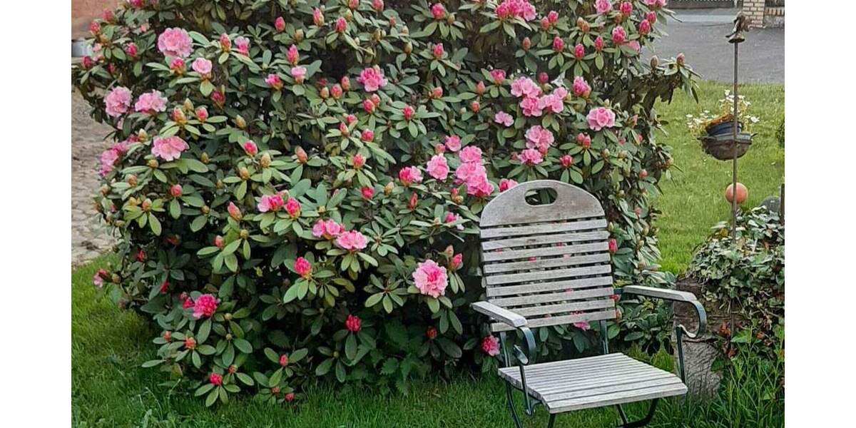 Einfamilienhaus Lahntal / Sterzhausen Sterzhausen - 7 Zimmer, 180 m&sup2;, 439.000&euro; | Angebot:25689226