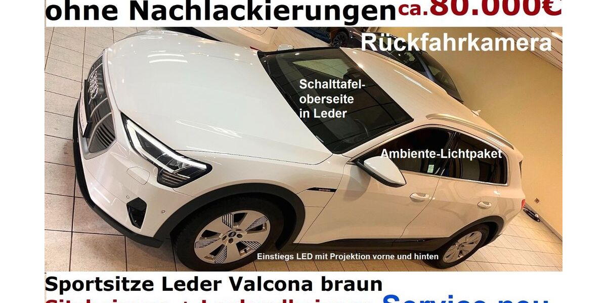 Audi e-tron 100.000 km 22.500 &euro; Grünberg 35305