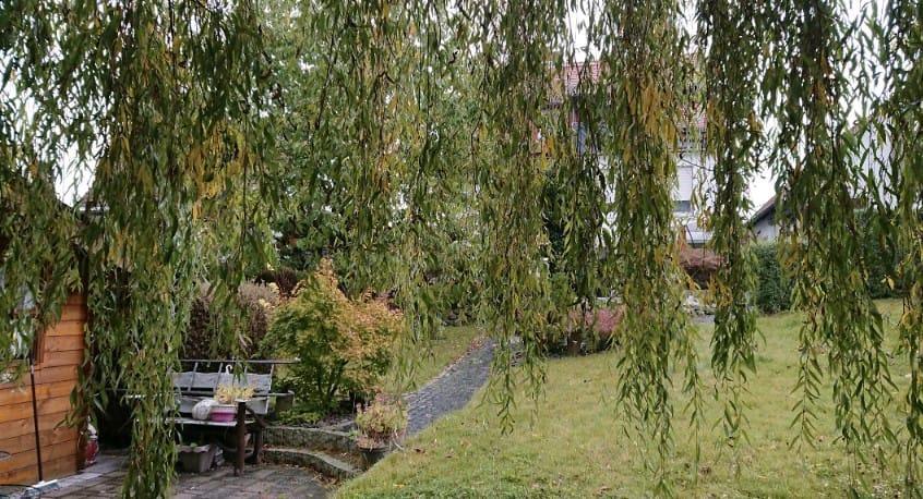 Einfamilienhaus Ebsdorfergrund - 9 Zimmer, 300 m&sup2;, 300.000&euro; | Angebot:27041080