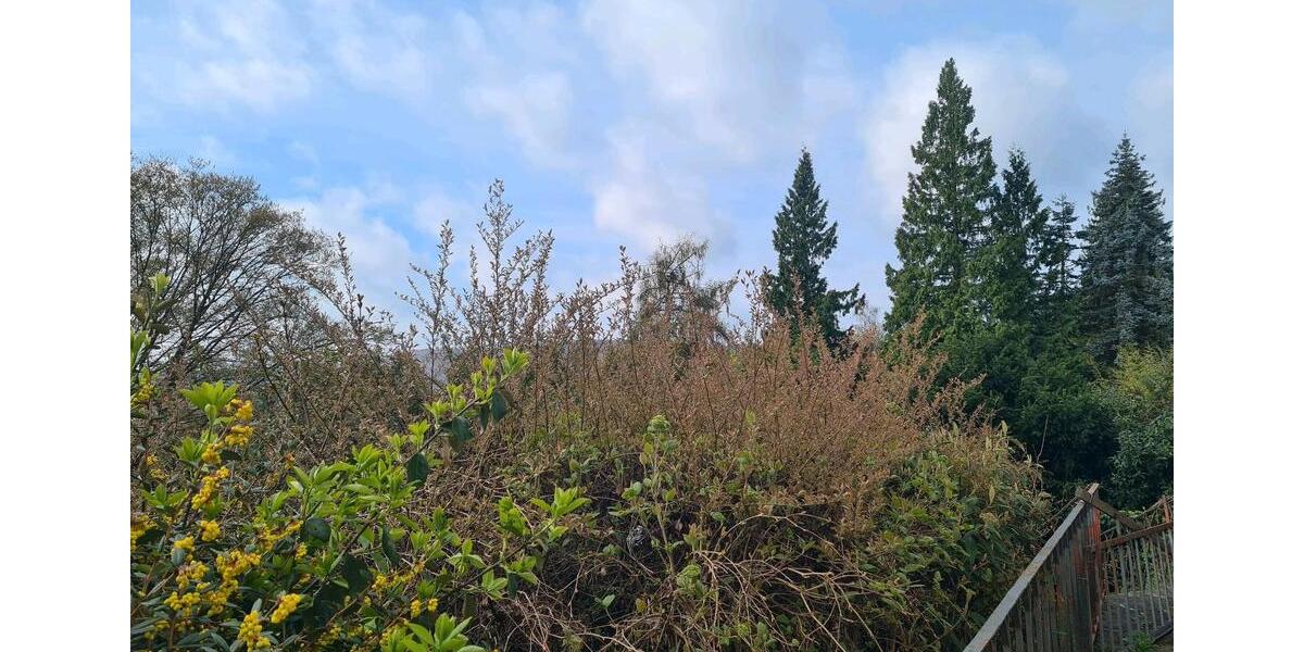 Terrassenwohnung Marburg - 2 Zimmer, 40 m&sup2;, 780&euro; | Angebot:26029532