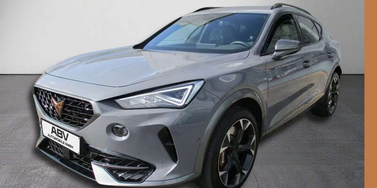 Cupra Formentor 51.936 km 28.790 &euro; Frankenberg 35066