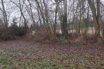 Haus Gießen Anneröder Siedlung - 129.000&euro; | Angebot:25961381