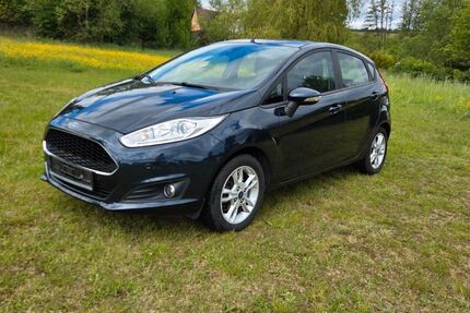 Ford Fiesta 117.850 km 6.900 &euro; Mücke 35325