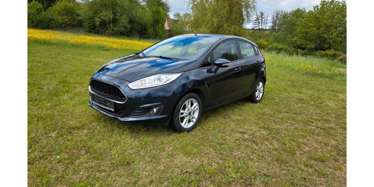 Ford Fiesta 117.850 km 6.900 &euro; Mücke 35325