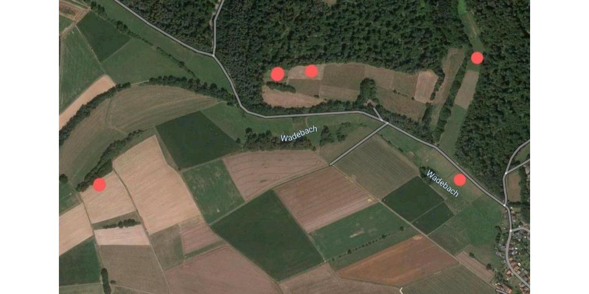 Mehrfamilienhaus, Wohnhaus Rauschenberg - 8 Zimmer, 274 m&sup2;, 220.000&euro; | Angebot:26517186