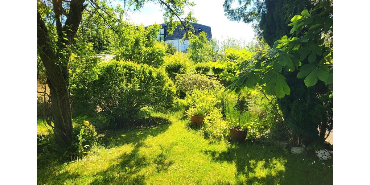 Mehrfamilienhaus, Wohnhaus Lollar - 980.000&euro; | Angebot:26038821