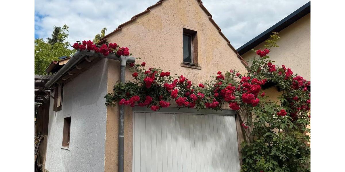 Mehrfamilienhaus, Wohnhaus Biebertal - 7 Zimmer, 180 m&sup2;, 525.000&euro; | Angebot:26940661