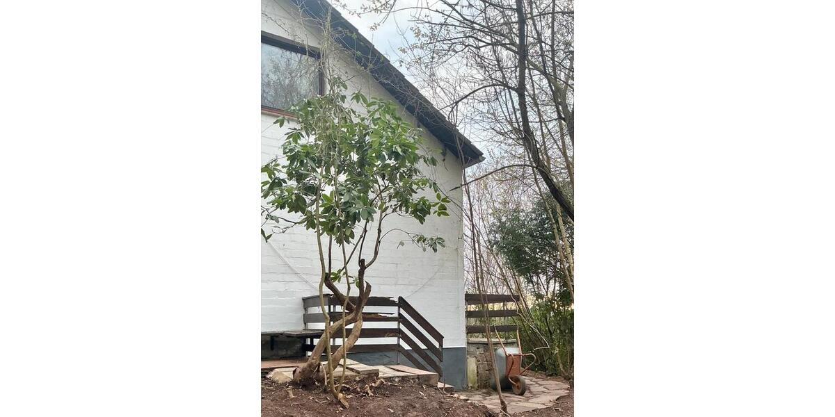 Einfamilienhaus Marburg Marbach - 7 Zimmer, 230 m&sup2;, 550.000&euro; | Angebot:26181293