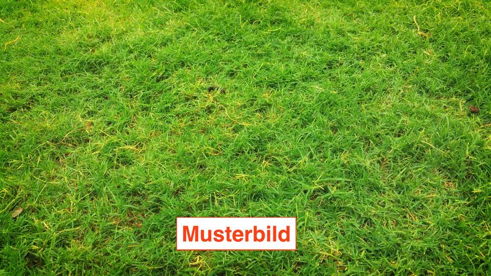 Grundstück Wettenberg - 409.000&euro; | Angebot:27096687