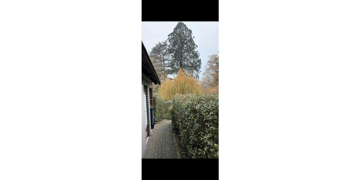 Einfamilienhaus Ebsdorfergrund - 9 Zimmer, 300 m&sup2;, 300.000&euro; | Angebot:27041080