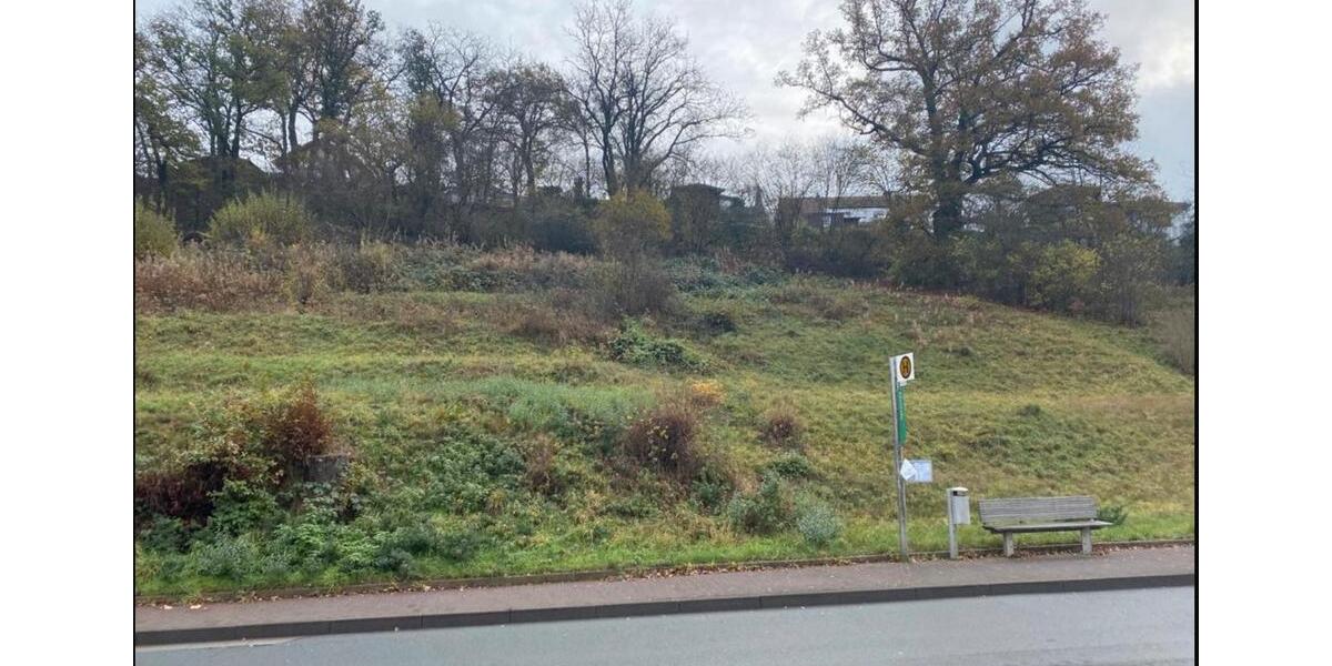 Grundstück Frankenberg (Eder) - 167.000&euro; | Angebot:22613208