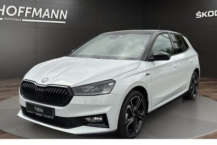 Skoda Fabia 1.100 km 29.980 &euro; Burgwald-Bottendorf 35099