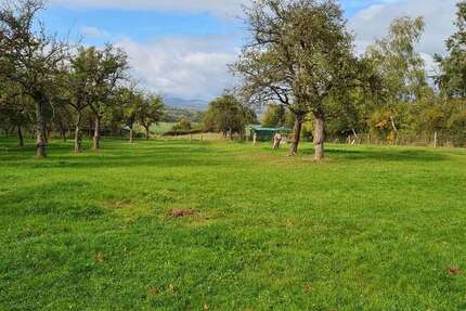 Grundstück Wetter (Hessen) - 95.000&euro; | Angebot:23919473