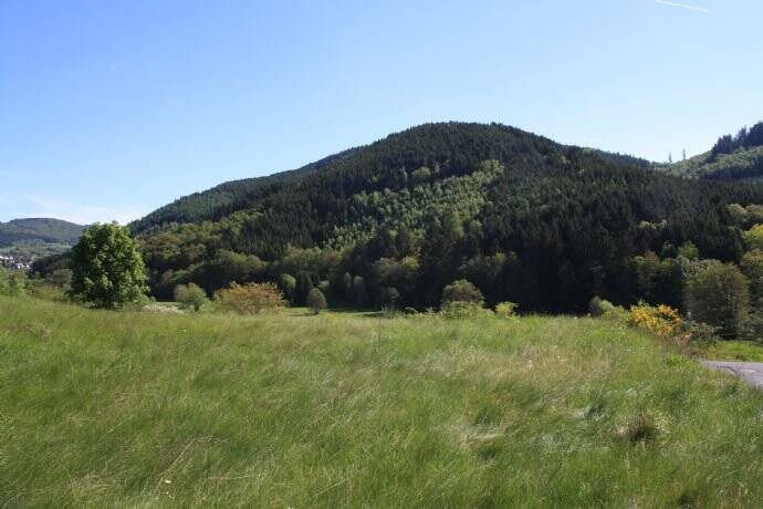 Grundstück Bad Laasphe - 66.990&euro; | Angebot:25665604