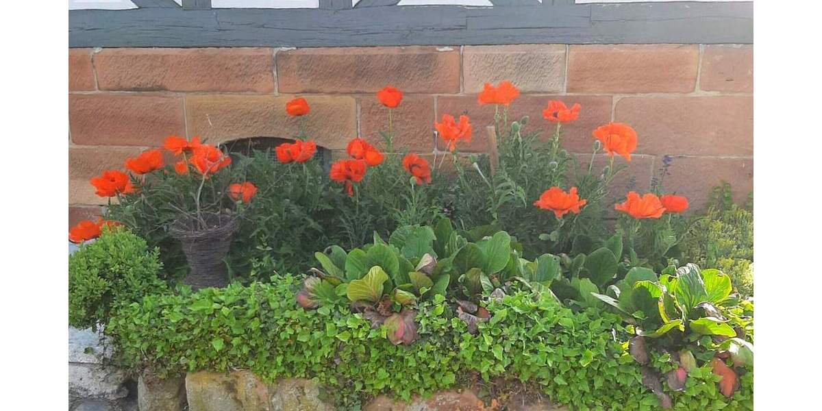 Einfamilienhaus Lahntal / Sterzhausen Sterzhausen - 7 Zimmer, 180 m&sup2;, 439.000&euro; | Angebot:25689226