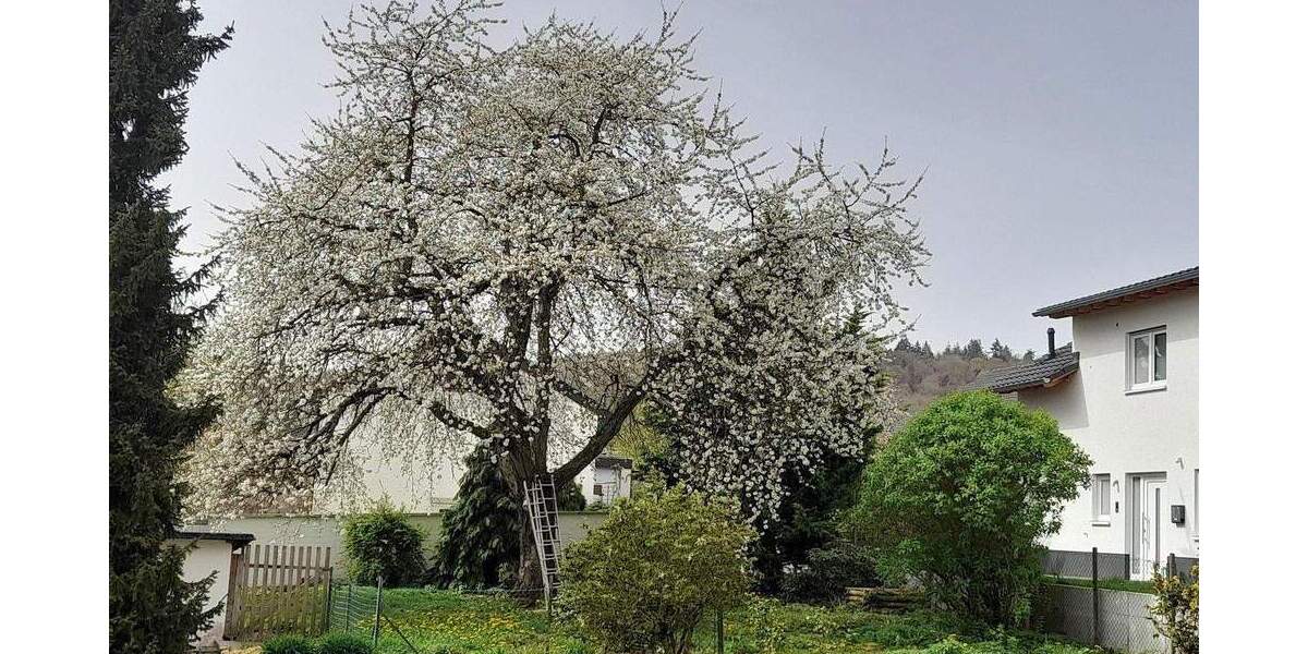 Einfamilienhaus Marburg-Schröck Schröck - 8 Zimmer, 180 m&sup2;, 480.000&euro; | Angebot:25823311