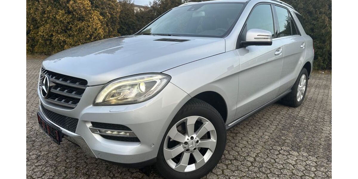 Mercedes-Benz ML 250 185.000 km 16.790 &euro; Lollar, bei Gießen 35457