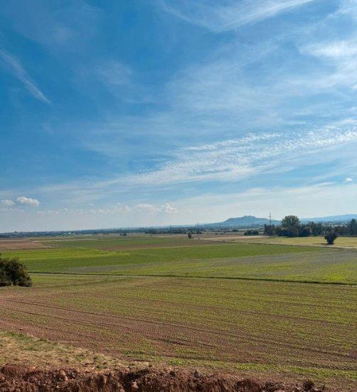 Etagenwohnung Kirchhain - 4 Zimmer, 139 m&sup2;, 529.900&euro; | Angebot:26123148