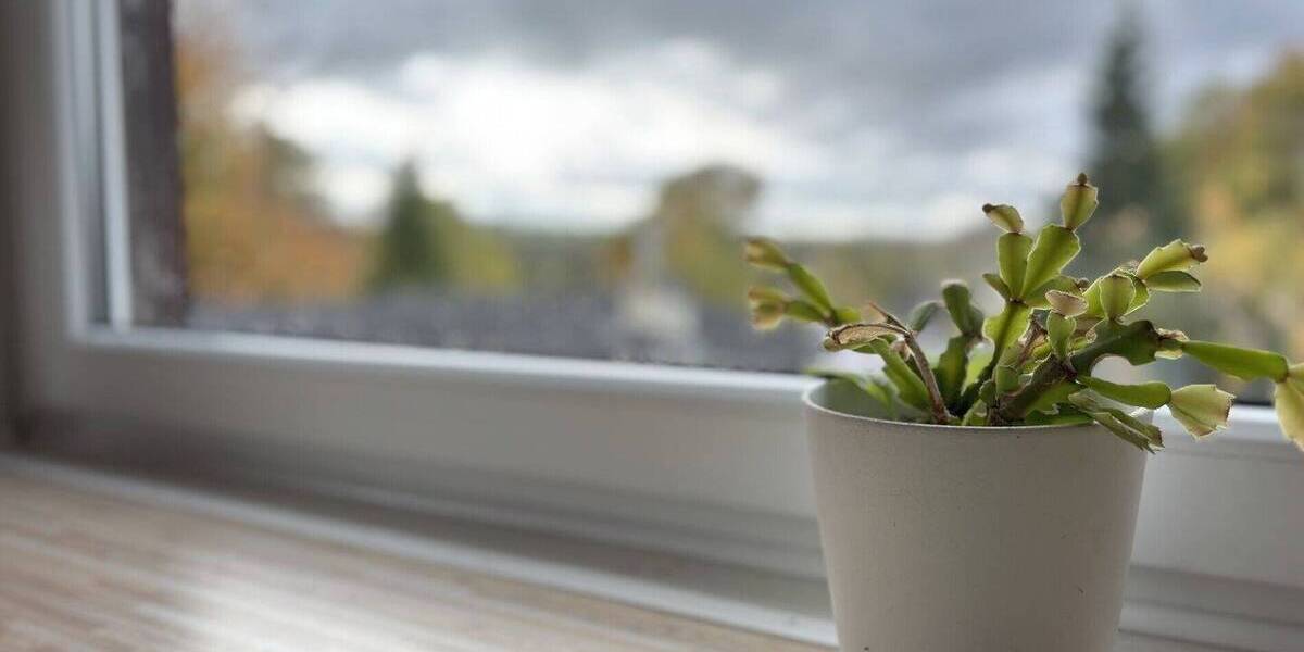 Einfamilienhaus Antrifttal / Bernsburg Bernsburg - 2 Zimmer, 125 m&sup2;, 160.000&euro; | Angebot:25775605