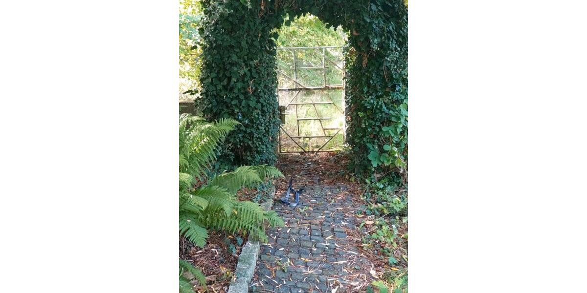 Einfamilienhaus Ebsdorfergrund - 9 Zimmer, 300 m&sup2;, 300.000&euro; | Angebot:27041080