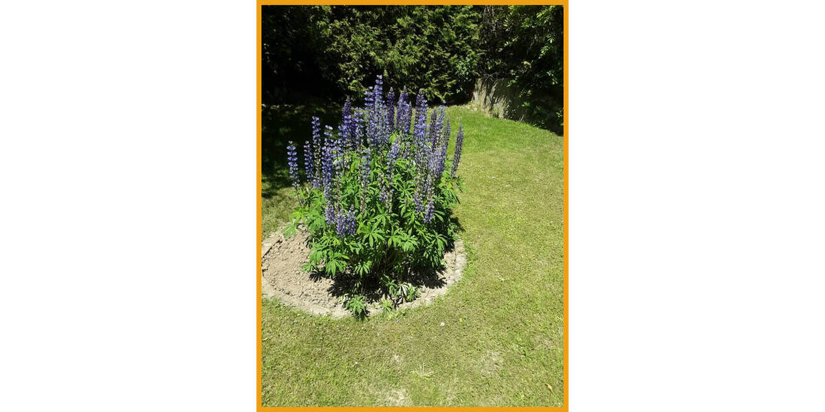 Grundstück Gilserberg / Appenhain Appenhain - 33.900&euro; | Angebot:25691362