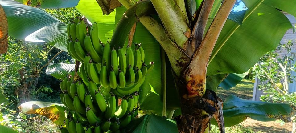 Einfamilienhaus Gießen Anneröder Siedlung - 70.000&euro; | Angebot:21249000