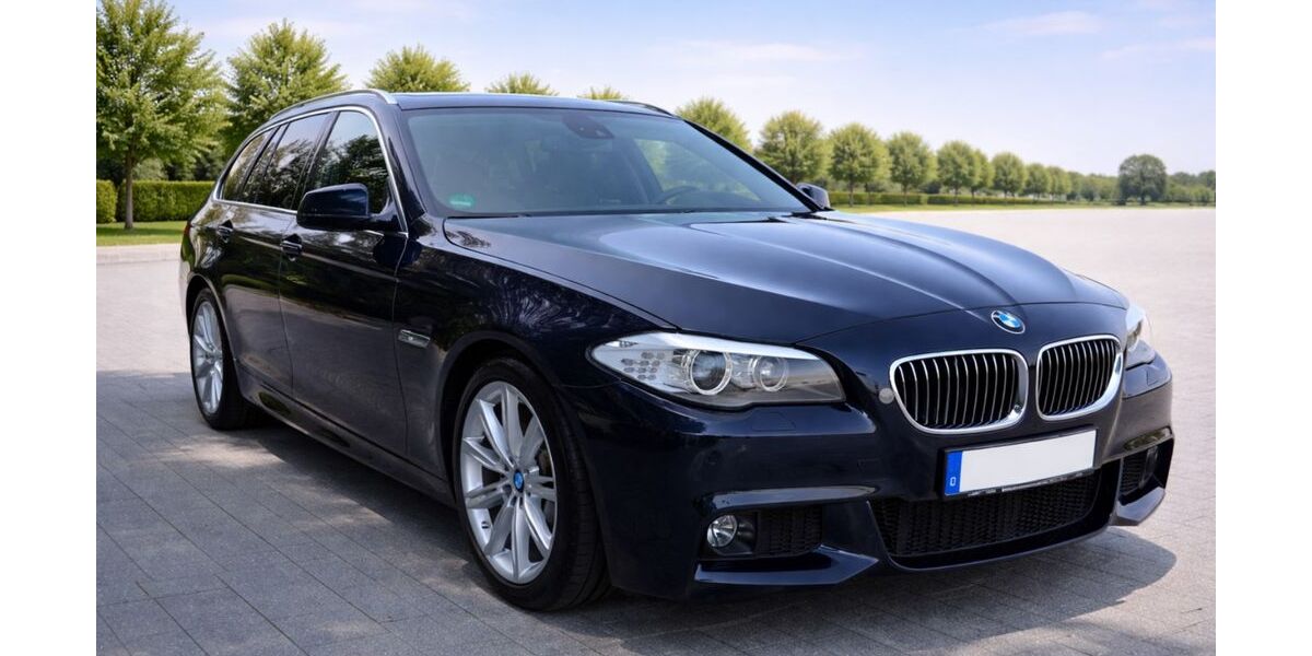 BMW 525 224.000 km 8.990 &euro; Lollar 35457