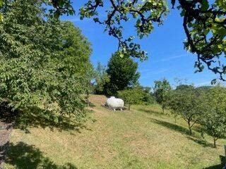 Mehrfamilienhaus, Wohnhaus Bad Endbach Hartenrod - 8 Zimmer, 180 m&sup2;, 168.000&euro; | Angebot:25777052