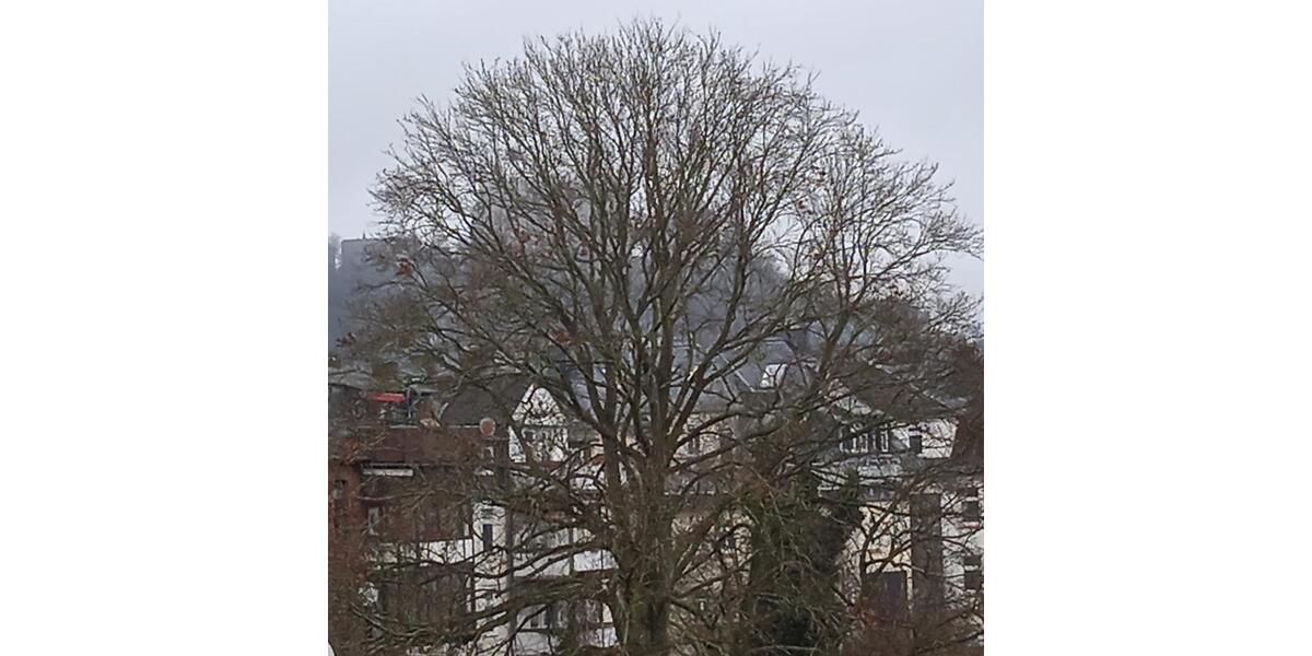 Etagenwohnung Marburg - 5 Zimmer, 120 m&sup2;, 1.800&euro; | Angebot:25274523