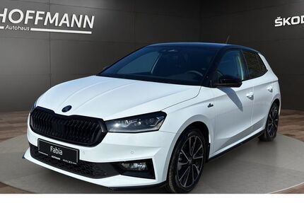 Skoda Fabia 4.500 km 27.480 &euro; Burgwald-Bottendorf 35099
