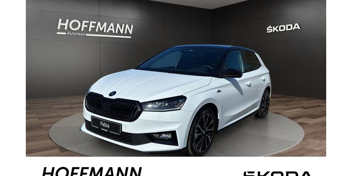 Skoda Fabia 4.500 km 27.480 &euro; Burgwald-Bottendorf 35099