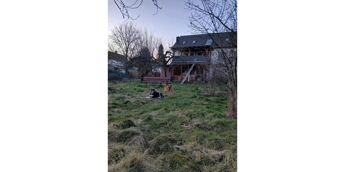 Erdgeschoßwohnung Gießen Wieseck - 1 Zimmer, 20 m&sup2;, 398&euro; | Angebot:26223353