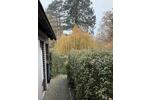 Einfamilienhaus Ebsdorfergrund - 9 Zimmer, 300 m&sup2;, 300.000&euro; | Angebot:27110524